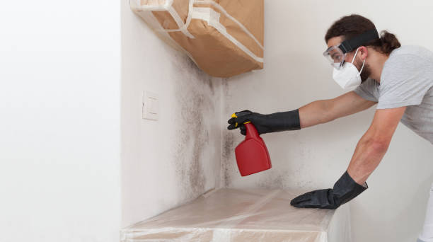 Professional Mold Removal technician working in Palatine, IL