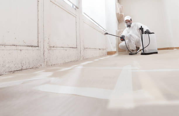 24/7 Emergency Mold Removal experts in Palatine, IL
